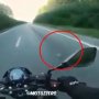 Demi Selamatkan Makhluk Ini, Pemotor Mendadak Berhenti di Tepi Jalan
