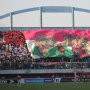 Suporter PSS Sleman Minta Liga 1 Disudahi Saja, Fokus Musim Baru