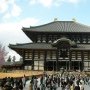 Menyambangi Kuil Todaiji, Menyimak Patung Buddha Terbesar di Jepang