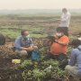 Polda Kalteng dan Tim KLHK Selidiki Kebakaran Lahan Milik Perusahaan Sawit