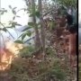 Video Bocah Padamkan Kebakaran Hutan, Warganet: Nyata Ketimbang Selfie
