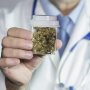 Malaysia Akan Izinkan Warganya Tanam Ganja untuk Keperluan Medis
