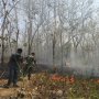 Setelah Dipasang Spanduk Waspada Kebakaran, Hutan Maliran Terbakar