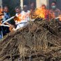 Pemusnahan 350 Kilogram Ganja di Aceh