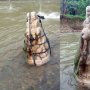 Heboh Temuan Artefak Berbentuk Makara di Pasaman, BPCB Sumbar Turunkan Tim
