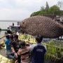 Tradisi Larung Sesaji di Madiun, Ada Tumpeng Ikan Raksasa Seberat 200 Kg!