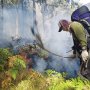 Gunung Arjuno Malang Kembali Terbakar