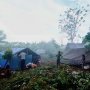 Maluku Diguncang 1.149 Gempa Susulan