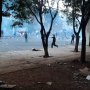 Pengacara Dosen IPB Sebut Dalang Demo Rusuh Adalah Orang 'Terpandang'