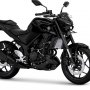 Diam-Diam, Yamaha Suguhkan Penyegaran MT-25 yang Keren!