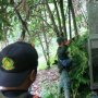 Beruang madu Muncul di Kawasan Ladang, Warga di Desa Ini Resah