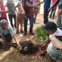 Senang Bupati Lampura Ditangkap KPK, Warga Potong Kambing di Halaman Pemkab