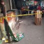 Mayat Perempuan Tertindih Boneka Beruang, Pembunuhnya Ternyata Sang Suami