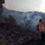 Tak Hanya di Kawah Putih, Kebakaran Lahan Juga Melanda Lokasi Wisata Lain