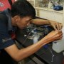 Efektif Atasi Penyakit Padi, Kementan Kenalkan Pengendali Hayati