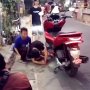 Ngeri, Ada Ular Bersarang Dalam Bodi Honda PCX di Tangerang