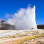 Tak Patuhi Lockdown, Pengunjung Yellowstone Terperosok ke Kawah Panas