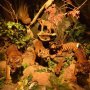 Kenalan dengan 2.600 Binatang di Rahmat International Wildlife Museum