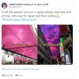 Langit Jepang Ungu, Tagar #PrayForJapan Trending, Ini Penjelasannya