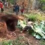 Dirindukan dalam Mimpi, Anak Bongkar Makam, Mayat Ibunya Dibawa Pulang
