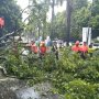 Imbas Pohon Dekat Monas Tumbang, Lalin Macet dan Pagar Rusak