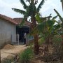 Terduga Teroris DP Pengantin Baru, Tak Punya KTP Selama Tinggal di Bandung