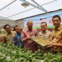 Rusun di Jakarta Akan Ditanami Tanaman Hidroponik, Buat Apa Sih?