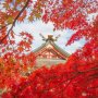 6 Lokasi di Prefektur Kanagawa untuk Menikmati Musim Gugur