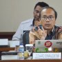 Greenpeace Sebut Ada Hubungan Sebab Akibat Antara Deforestasi dengan Sawit