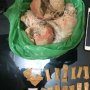 Selundupkan Bakso Berisi Sabu ke Lapas, Muhammad Arifin Ditangkap