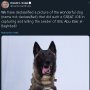 Anjing yang Memburu Abu Bakar Al Baghdadi Terluka Kena Bom