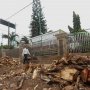 Dishut Jakarta Minta Rp 30 Miliar buat Bagi-bagi Pohon, Ditolak DPRD