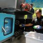 Polisi Musnahkan Puluhan Narkoba Jaringan International