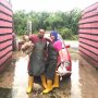 Viral, Istri Tukang Ayam Belikan Mobil Mewah Rp 800 Juta untuk Suami