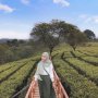 Seru, Ini 4 Aktivitas Liburan yang Bisa Dilakukan di Kebun Teh Wonosari