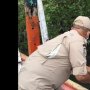 Bangkai Babi yang Membusuk Cemarkan Sungai dan Danau di Sumatera Utara