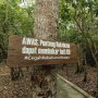 Delegasi G20 Akan Ke Bangka Belitung, Salah Satunya ke Hutan Konservasi Bukit Peramun