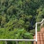 Wisata di Kebun Senaru, Tempat Kopi Bertemu Sejuknya Air Terjun