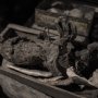 Mumi Binatang Besar, Diduga Singa, Ditemukan di Mesir