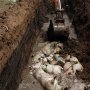Teror Bangkai Babi di Sumut, Pemprov Identifikasi 61 Pemilik Peternakan