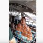 Takut Dibegal, Driver Taksol Wanita Ini Pasang Kerangkeng Besi di Mobil