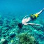 Surga Snorkeling di Sulawesi Barat Itu Bernama Gonda Mangrove Park