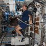 Pelatihan Ruang Angkasa Astronot Bisa Bantu Pasien Kanker