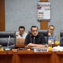 Komisi X Segera Revisi UU Kepemudaan