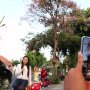 Jalan-jalan Sore di Bawah Rimbun Bunga Tabebuya Surabaya