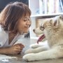 Punya Kebutuhan Nutrisi Berbeda, Ini Tips Bagi Pemilik Anabul Untuk Pilih Makanan Anjing