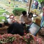 Ayah Nindy Ayunda Meninggal karena Sakit Jantung, Bisa Diprediksi dari Mata