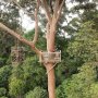 5 Potret Bukit Bangkirai nan Elok di Kalimantan Timur, Bikin Betah