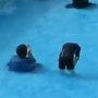 Viral Bocah Salat dalam Kolam Renang Bikin Warganet Ngakak