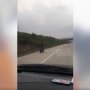 Viral Pemotor Menyusup di Tol Semarang-Batang, Kenekatannya Totalitas!